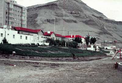 Anterior
