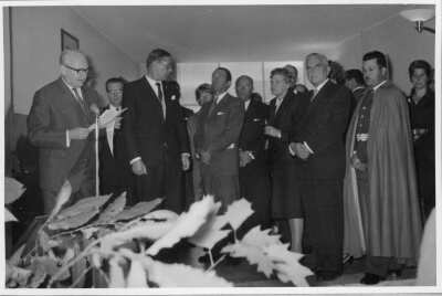 Anterior