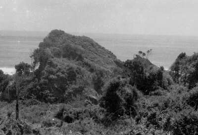 Cerro poblado de árboles, con la Playa de Hueicolla de Fondo