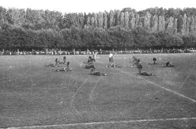 Anterior