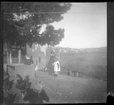 Plano general de un niño y dos niñas en un patio trasero rodeados de gallinas.